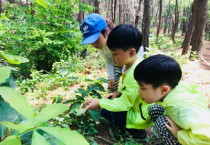 영덕국유림관리소, 산림교육 운영사업 착수보고회 개최